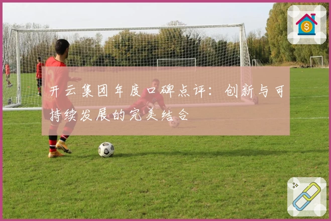 开云集团年度口碑点评：创新与可持续发展的完美结合