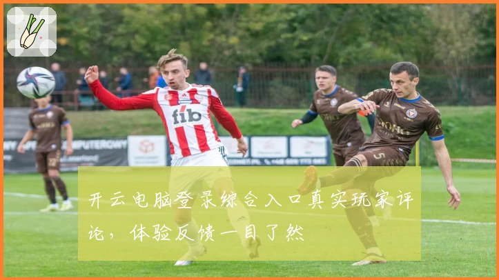 开云电脑登录综合入口真实玩家评论，体验反馈一目了然