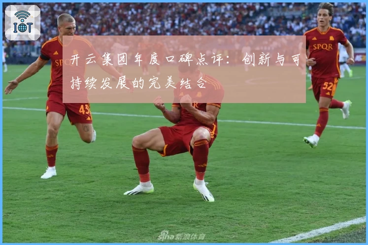 开云集团年度口碑点评：创新与可持续发展的完美结合