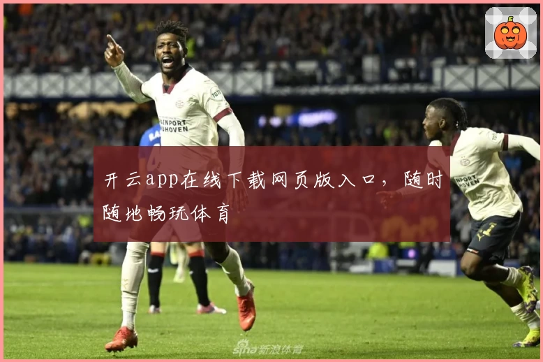开云app在线下载网页版入口，随时随地畅玩体育